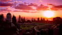 Enter www.BahaiPictures.com